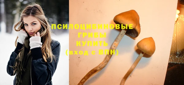 ПСИЛОЦИБИНОВЫЕ ГРИБЫ Алзамай
