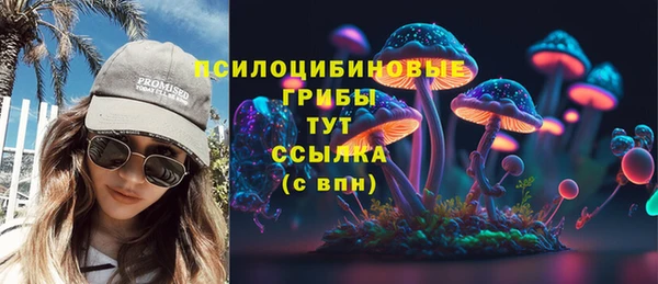 ПСИЛОЦИБИНОВЫЕ ГРИБЫ Алзамай