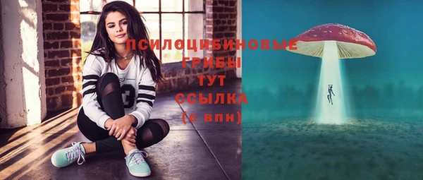 соль курить ск Алексеевка