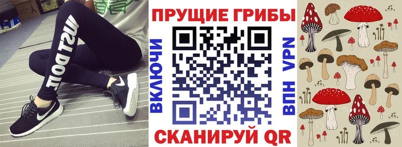 магазин дарк нет формула Псилоцибиновые грибы мицелий Сортавала