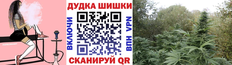 Шишки марихуана семена  цена наркотик  Сортавала 